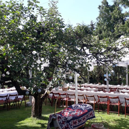 namiot weselny na 100 osób wynajem