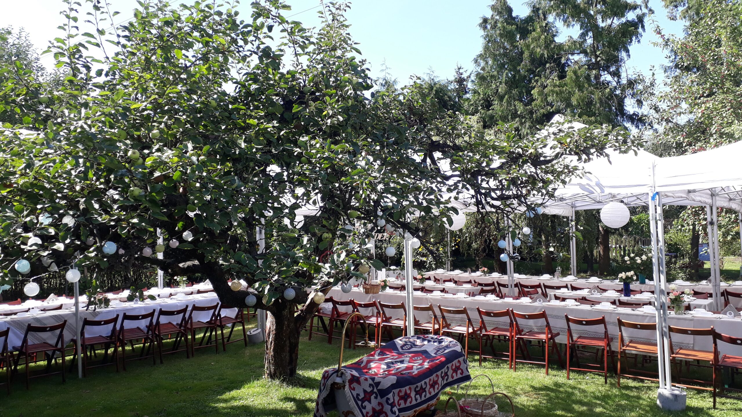 namiot weselny na 100 osób wynajem